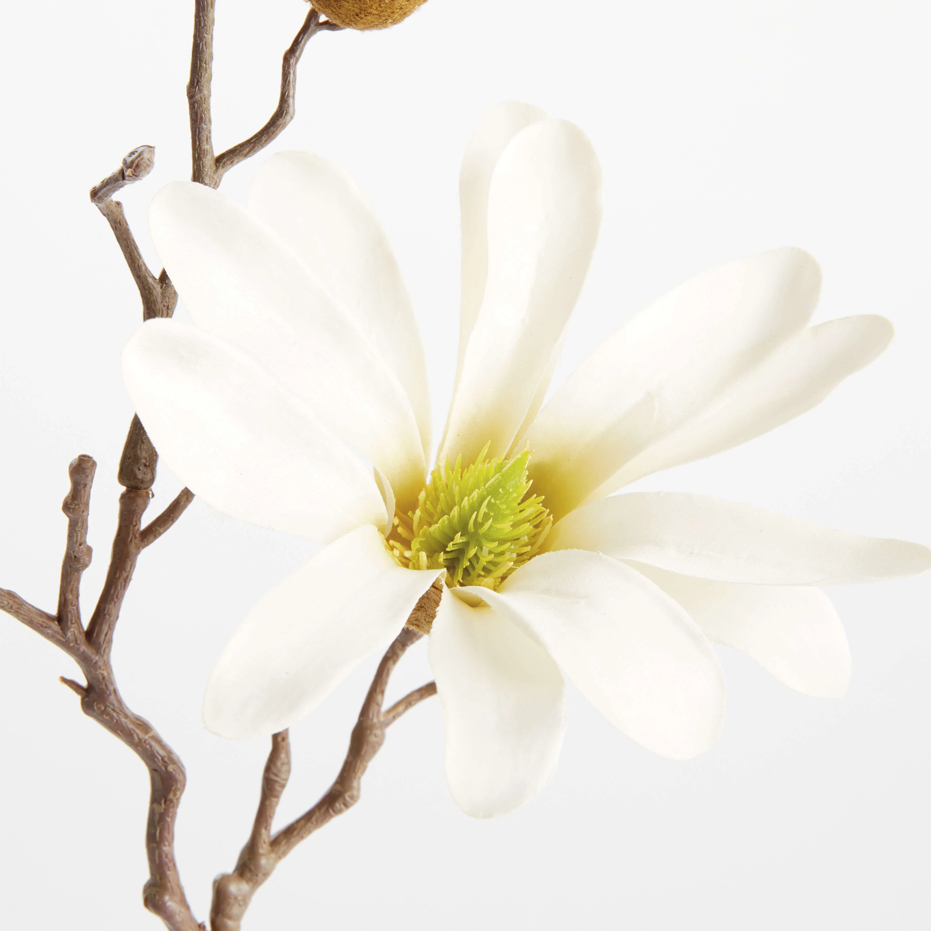 STAR MAGNOLIA STEMS 18", SET OF 6 - Image 3
